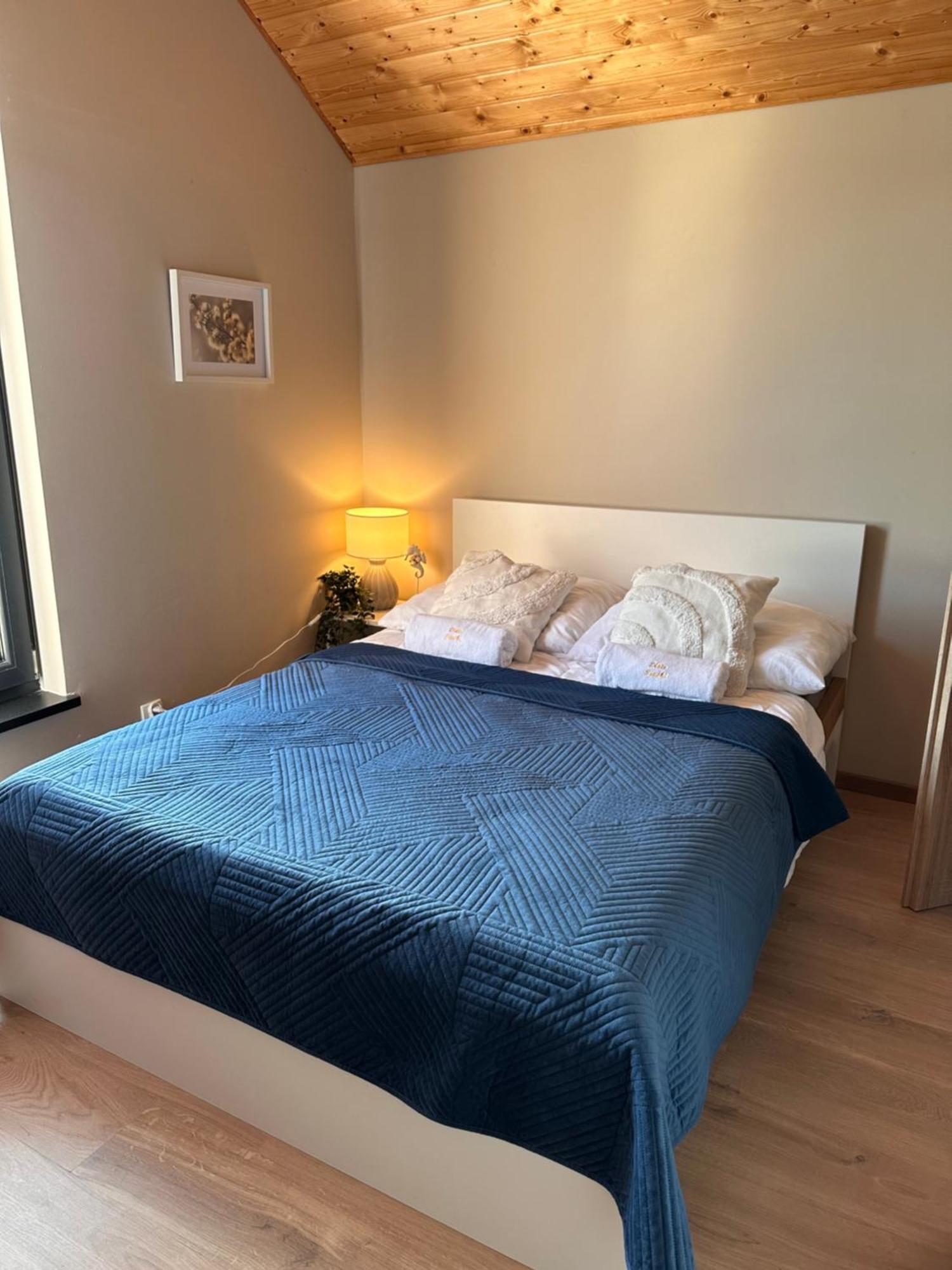 Jastrzębia Góra Domki Zlote Piaski Kryty Basen Sauna Jacuzzi מראה חיצוני תמונה